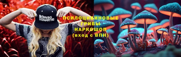 прущие крисы Белокуриха