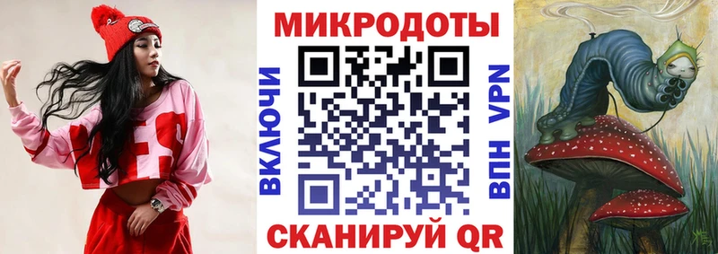 как найти   Нижняя Салда  Галлюциногенные грибы Psilocybine cubensis 
